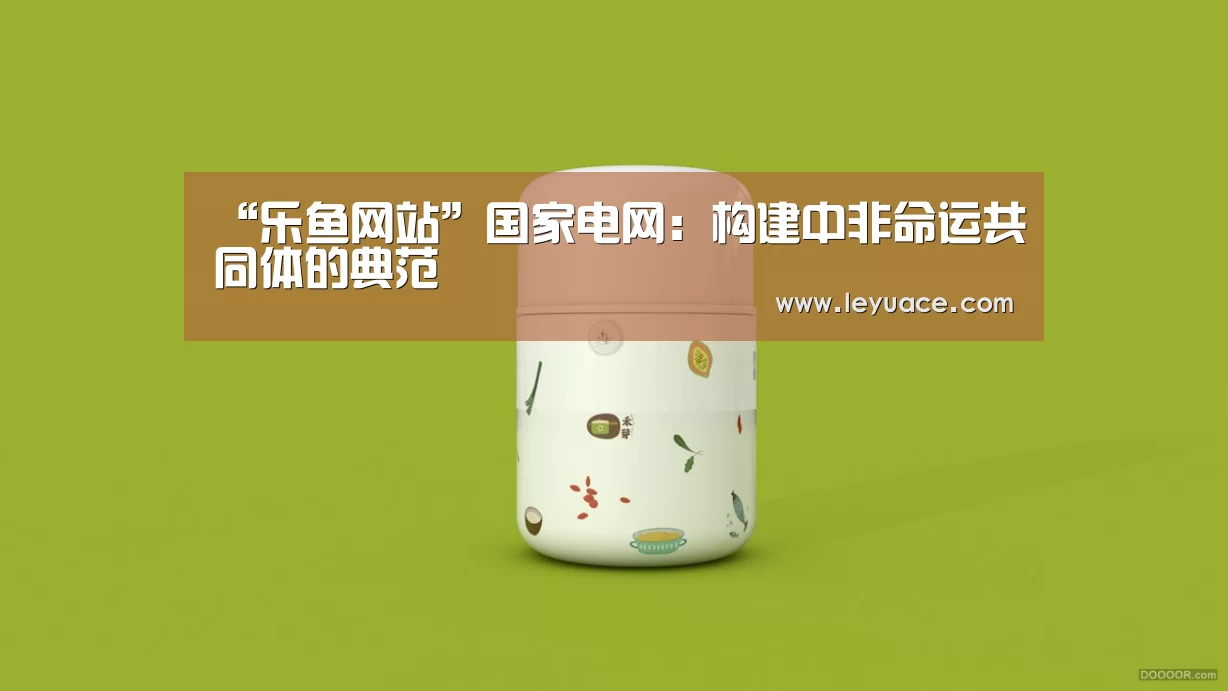 “乐鱼网站”国家电网：构建中非命运共同体的典范