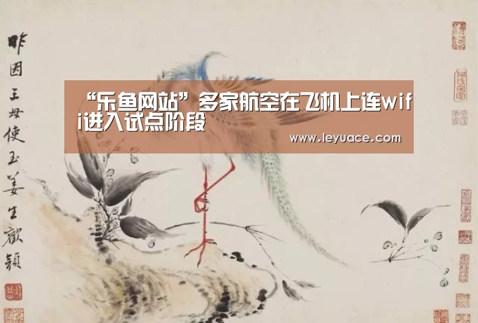 “乐鱼网站”多家航空在飞机上连wifi进入试点阶段