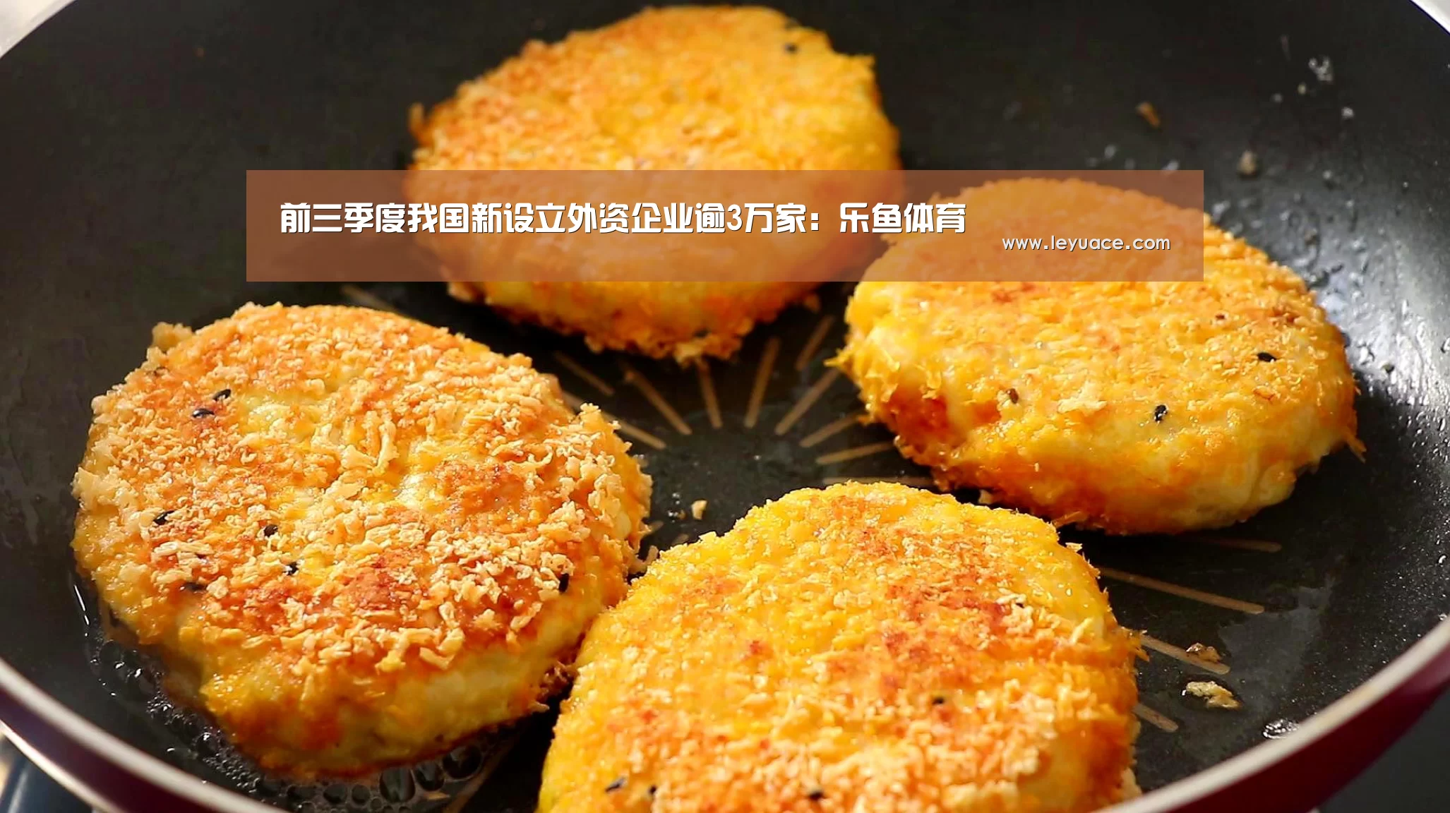 前三季度我国新设立外资企业逾3万家：乐鱼体育