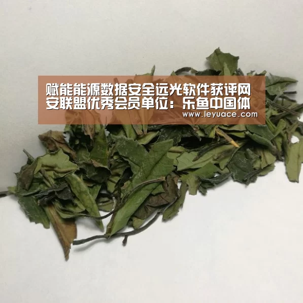 赋能能源数据安全远光软件获评网安联盟优秀会员单位：乐鱼中国体育