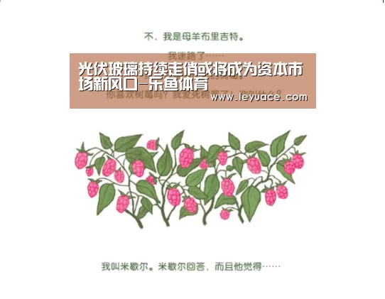 光伏玻璃持续走俏或将成为资本市场新风口-乐鱼体育(图4) 乐鱼LEYU