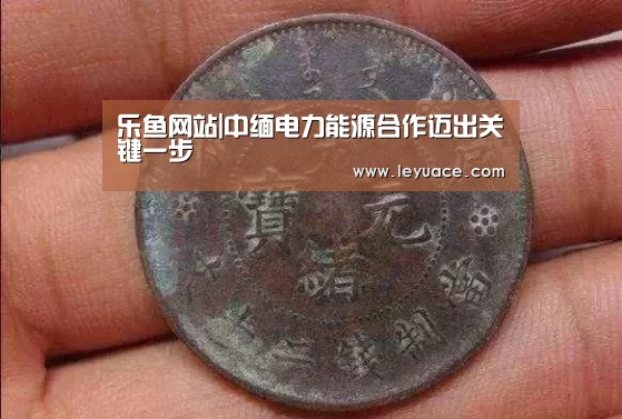 乐鱼网站|中缅电力能源合作迈出关键一步