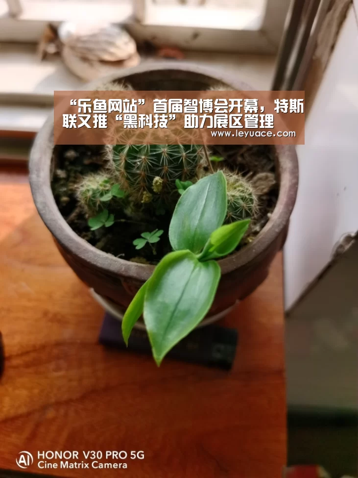 “乐鱼网站”首届智博会开幕，特斯联又推“黑科技”助力展区管理